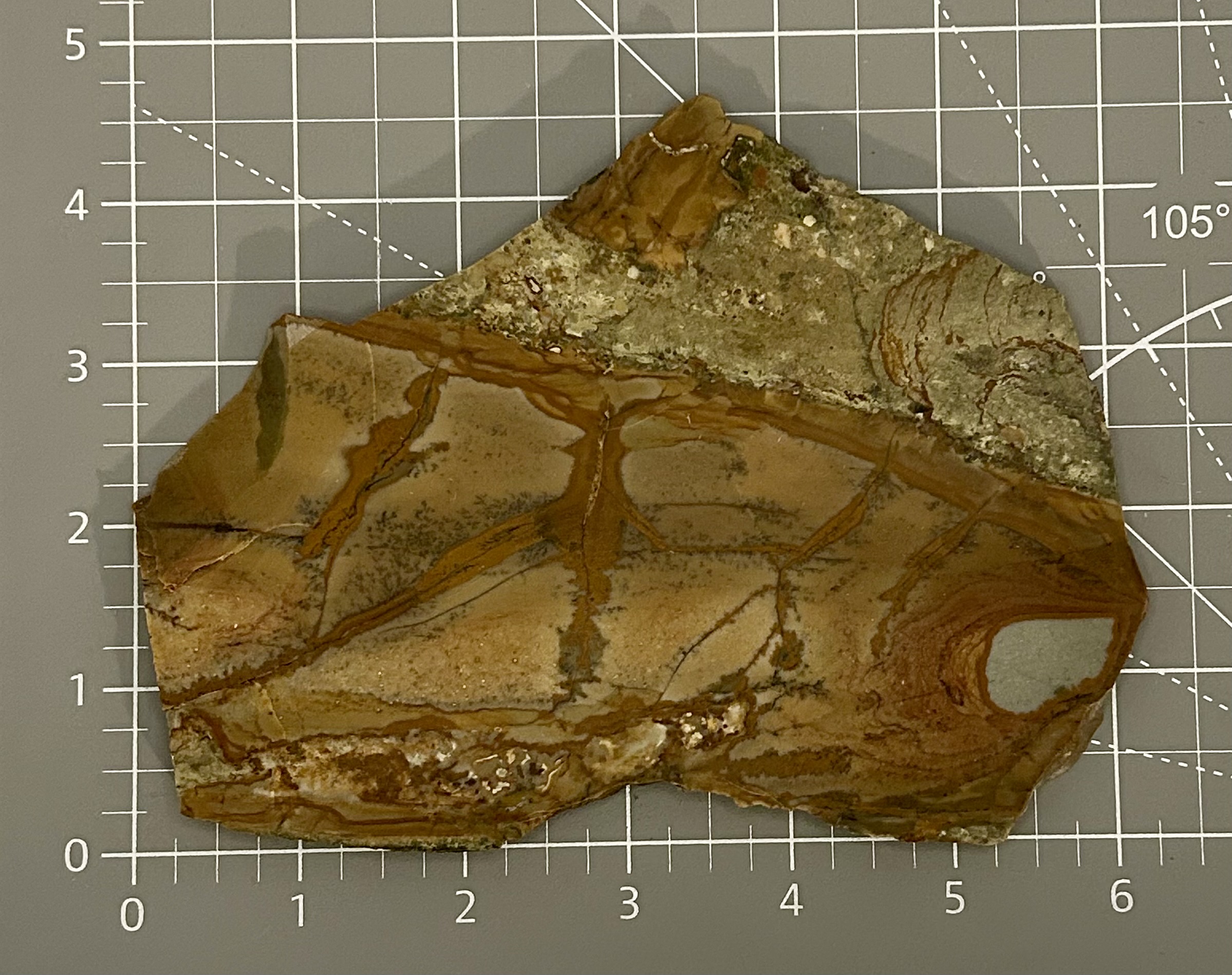 Owyhee Jasper